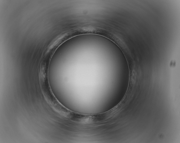 X0000111200116200907151423