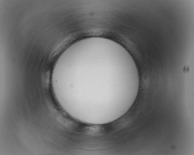 X0000111200118200907151423