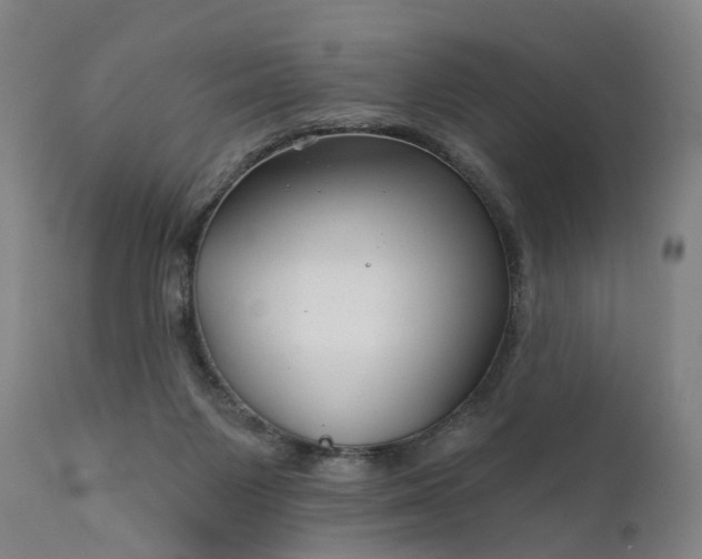 X0000111200119200907151423