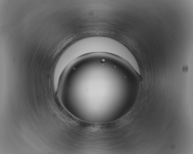 X0000111200120200907151423