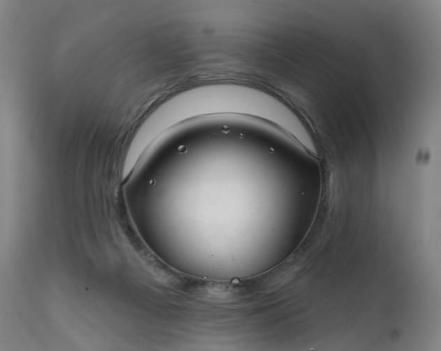 X0000111200121200907151423