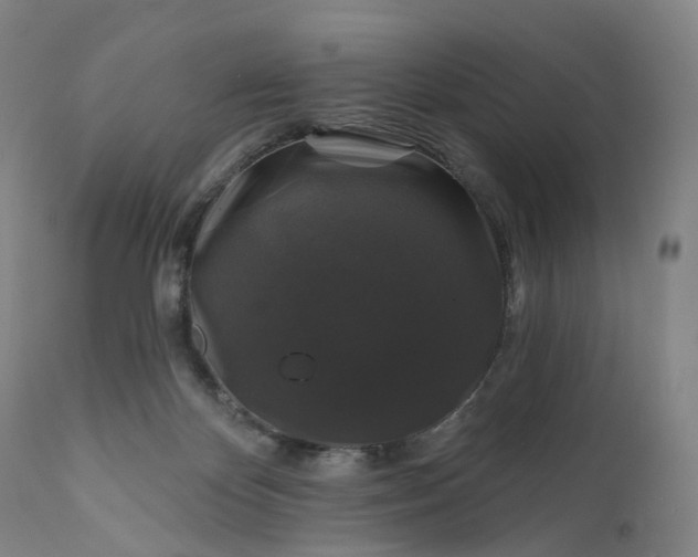 X0000111200124200907151423