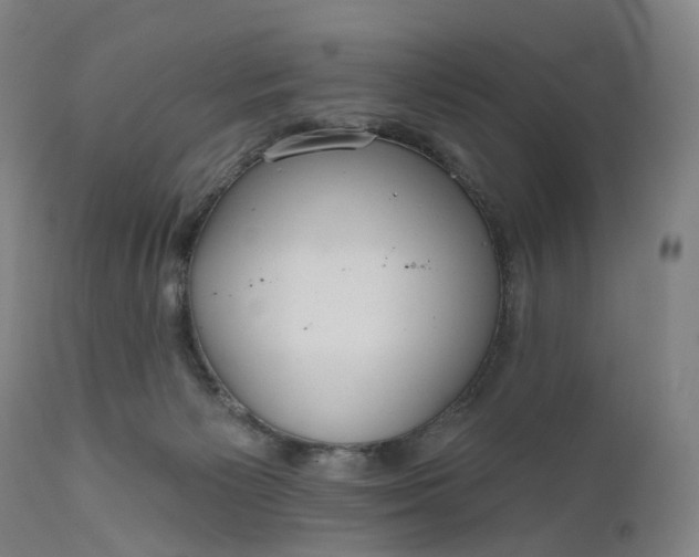 X0000111200125200907151423