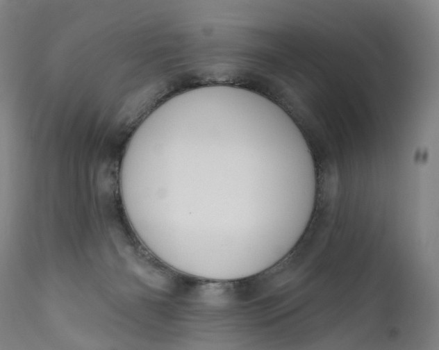 X0000111200126200907151423