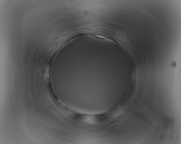 X0000111200127200907151423