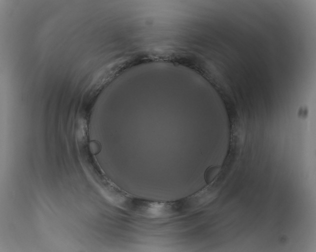 X0000111200130200907151423