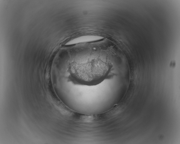 X0000111200131200907151423