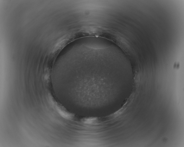 X0000111200132200907151423