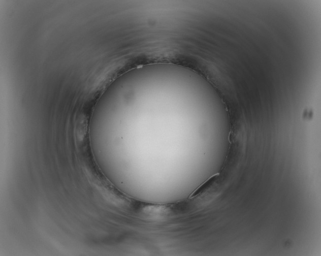 X0000111200133200907151423