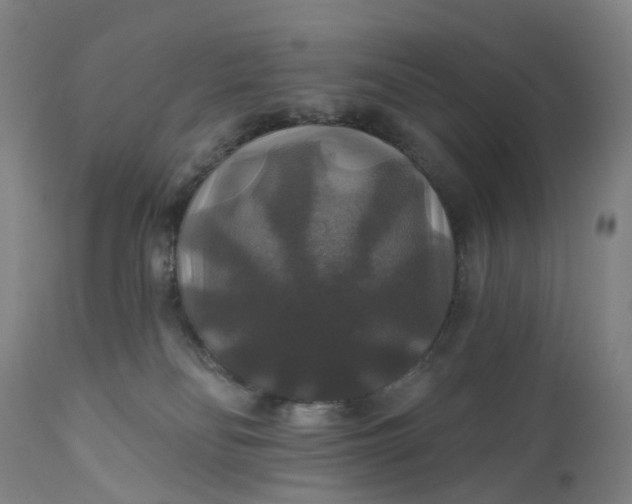 X0000111200134200907151423