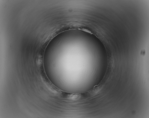 X0000111200135200907151423