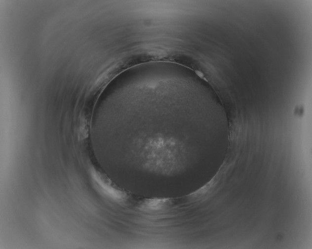 X0000111200136200907151423