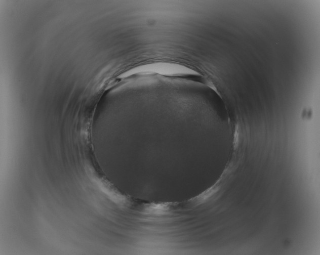 X0000111200140200907151423