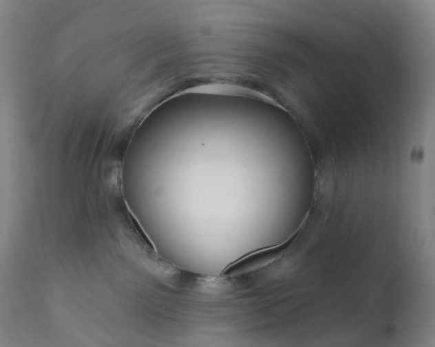 X0000111200141200907151423