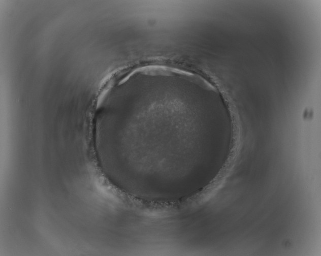 X0000111200144200907151423