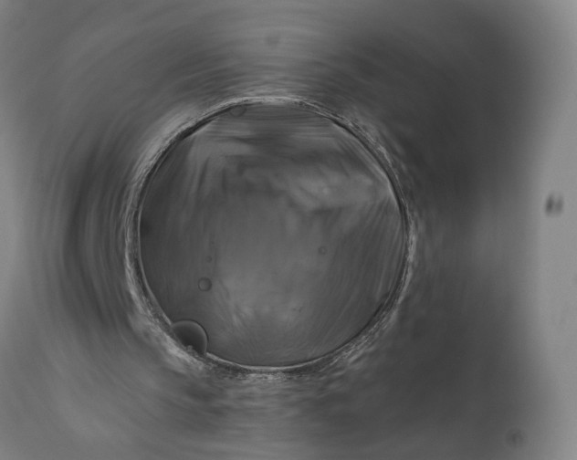 X0000111200145200907151422