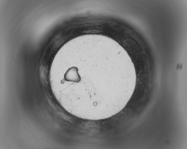 X0000111200146200907151422