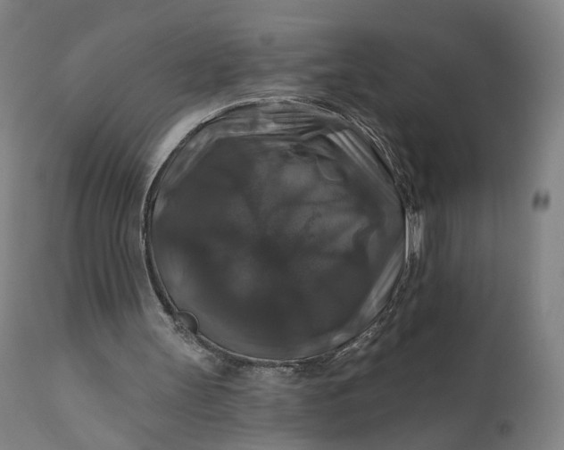 X0000111200147200907151422