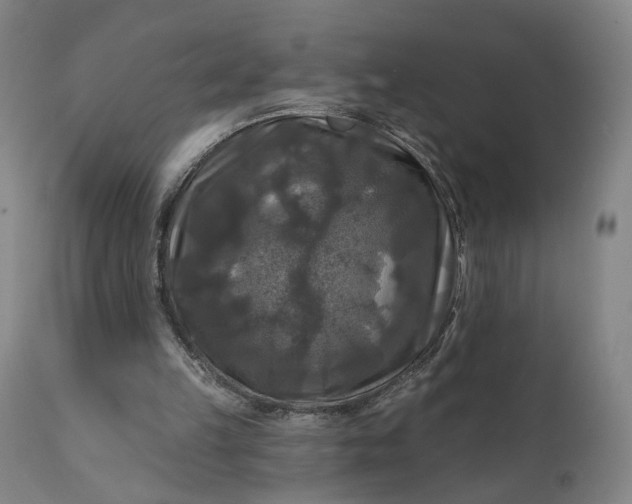 X0000111200149200907151422