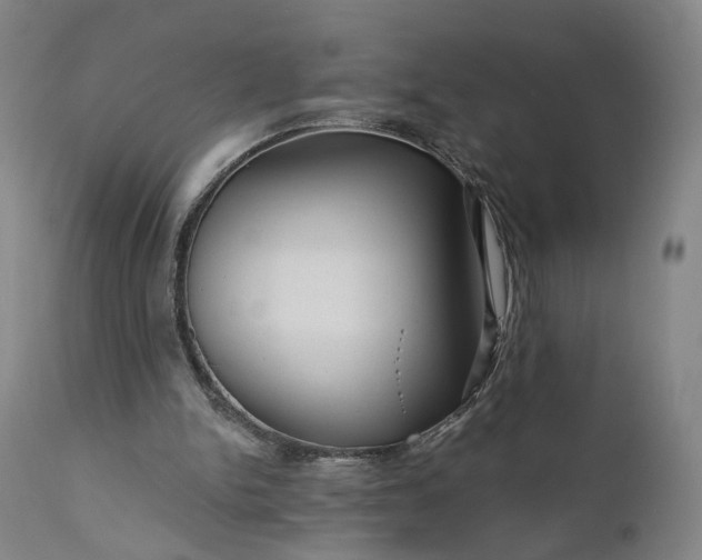 X0000111200150200907151422