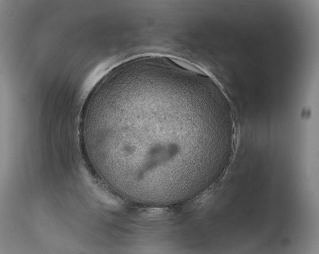 X0000111200151200907151422