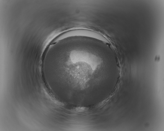 X0000111200152200907151422