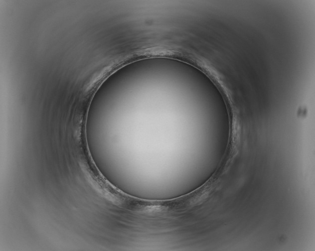 X0000111200153200907151422