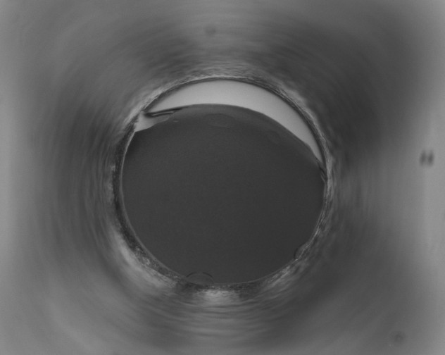 X0000111200154200907151422