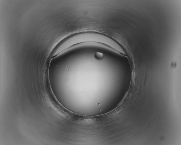 X0000111200156200907151422