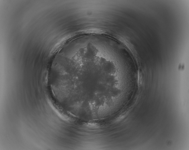 X0000111200157200907151422