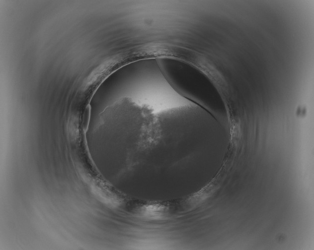 X0000111200158200907151422