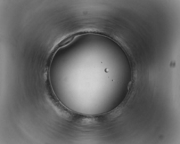 X0000111200160200907151422