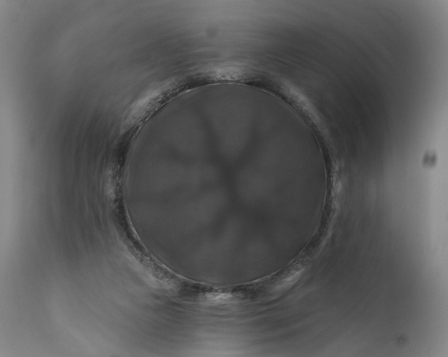 X0000111200161200907151422