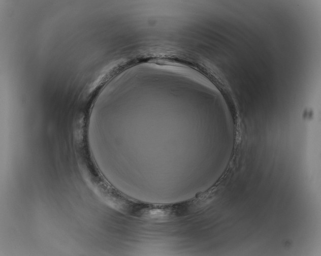 X0000111200163200907151422