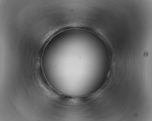 X0000111200164200907151422