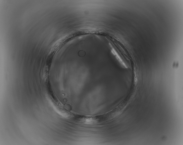 X0000111200165200907151422