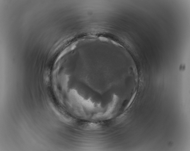 X0000111200166200907151422