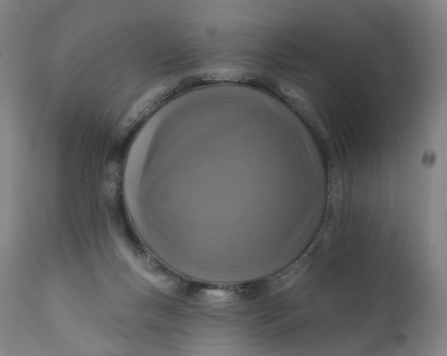 X0000111200167200907151422