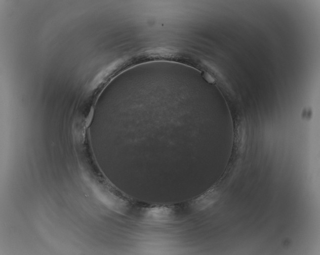 X0000111200168200907151422