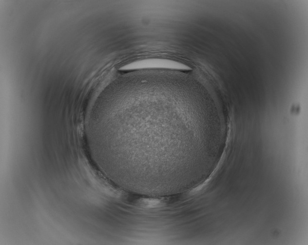 X0000111200170200907151422