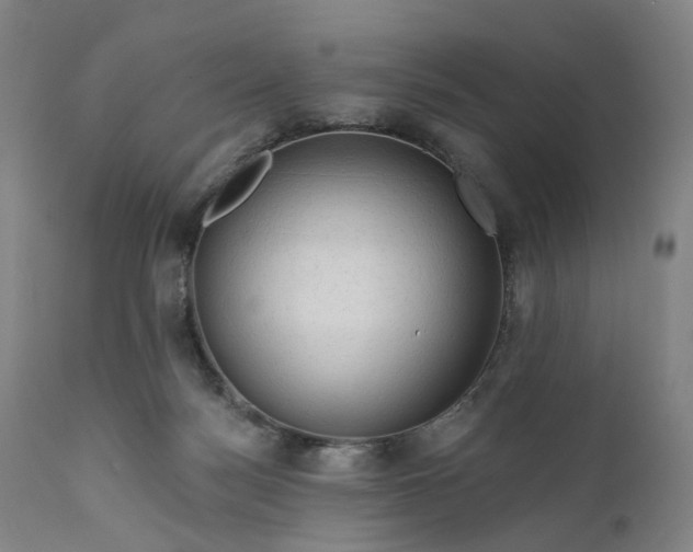 X0000111200172200907151422