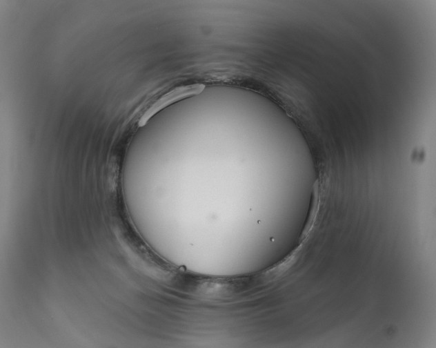 X0000111200174200907151422