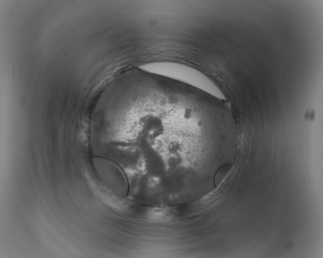 X0000111200175200907151422