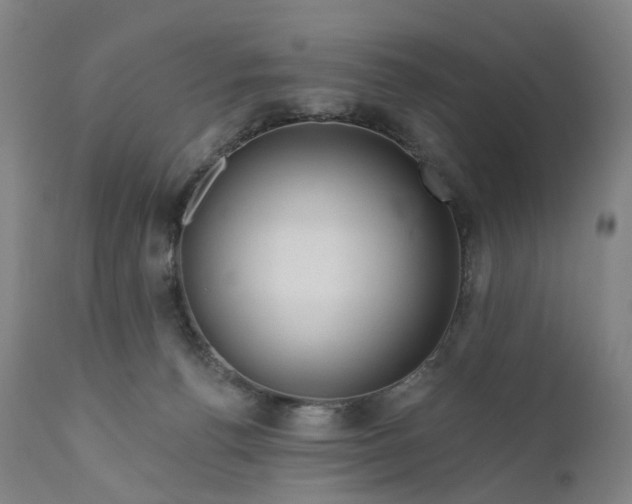 X0000111200176200907151422