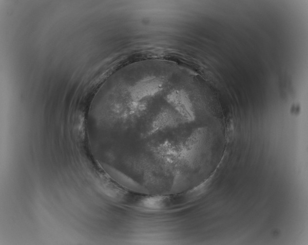 X0000111200178200907151422