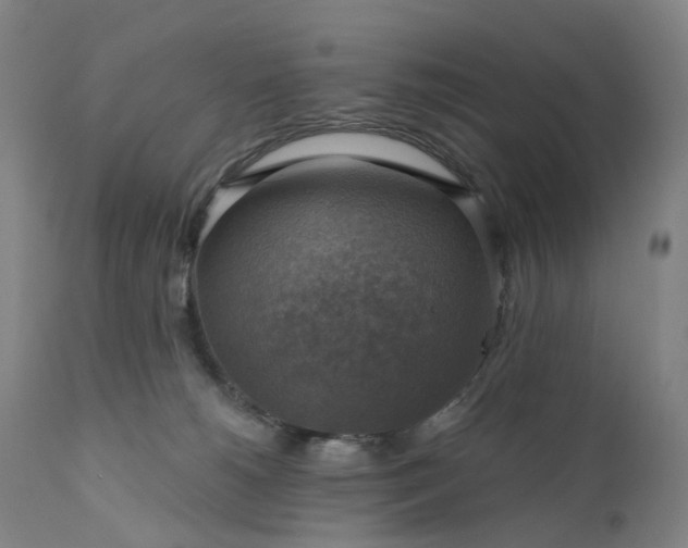 X0000111200180200907151422