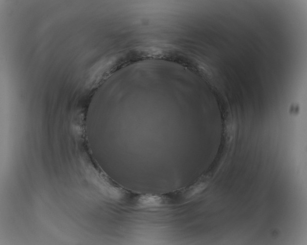 X0000111200181200907151422