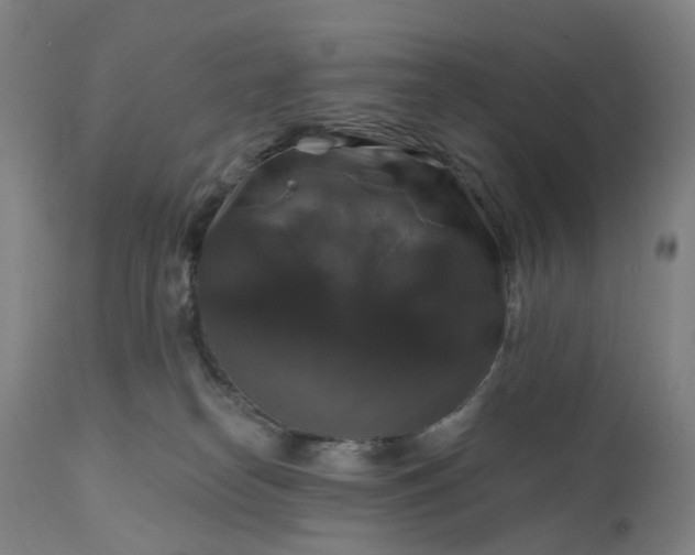 X0000111200182200907151422