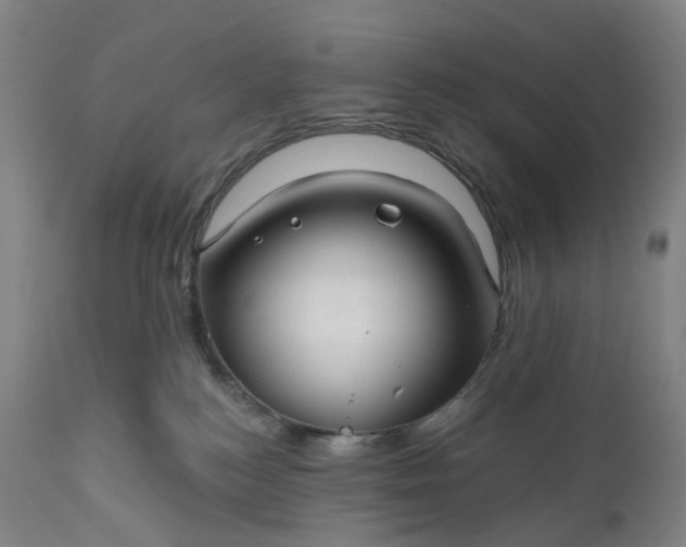 X0000111200184200907151422