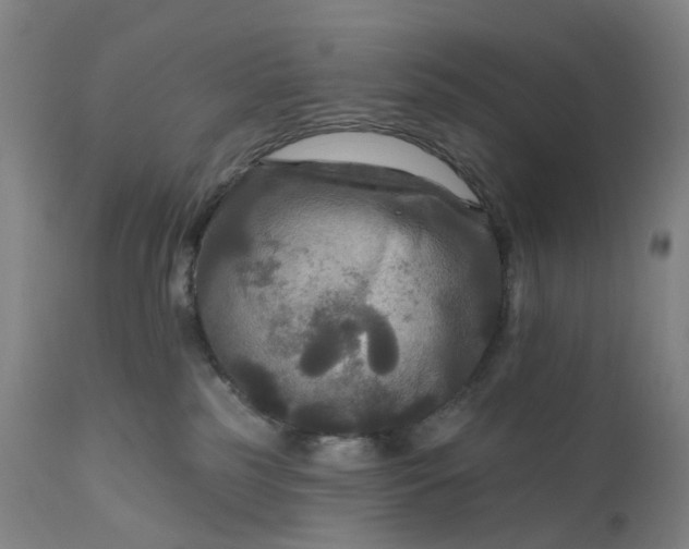 X0000111200185200907151422